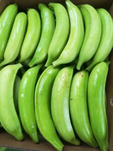 Plátano Hartón – Plantain