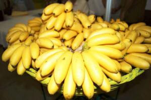 Banano Manzano